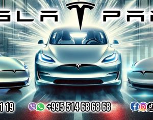 TESLA Model 3 2022 0.1 - 1