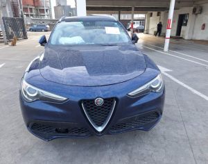 ALFA ROMEO Stelvio 2017 2.0 - 1