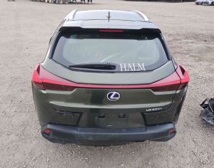 LEXUS UX250h 2019 2.0 - 5