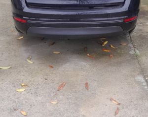 FORD Fiesta 2008-2019