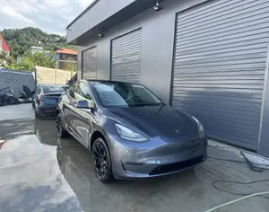 TESLA Model Y 2022 0.1 - 1