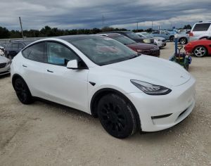 TESLA Model Y 2022 0.1 - 2
