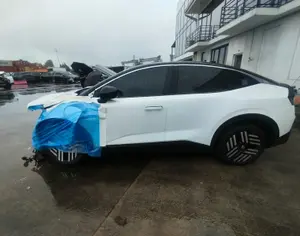NISSAN Leaf 2026 0.1 - 4
