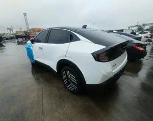 NISSAN Leaf 2026 0.1 - 9
