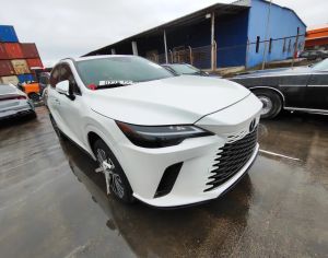 LEXUS RX 500 2023-2026 - 3