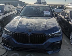 BMW X5 2019-2026 - 1