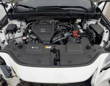 LEXUS NX 350 2023-2026 - 1