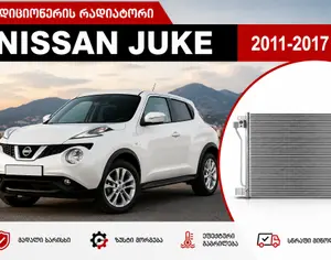NISSAN Juke 2010-2017