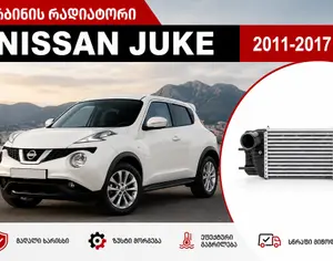 NISSAN Juke 2010-2014