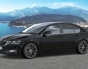 R18 SKODA Octavia 2010-2025 - 9