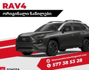 TOYOTA RAV 4 2019 2.5 - 1