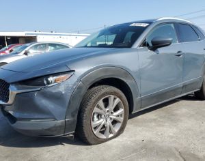 MAZDA CX-30 2021 2.5 - 10