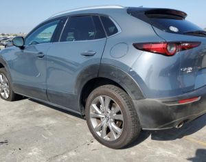 MAZDA CX-30 2021 2.5 - 11