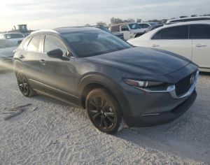 MAZDA CX-30 2021 2.5 - 3