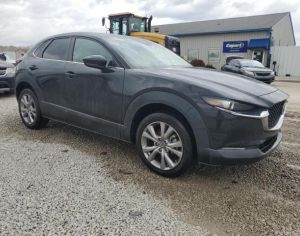 MAZDA CX-30 2020 2.5 - 9