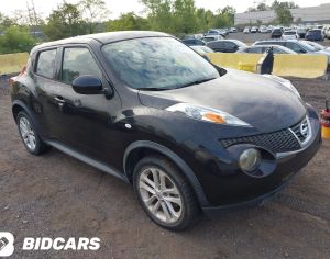 NISSAN Juke 2016 1.6 - 9