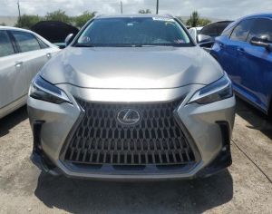 LEXUS NX 350 2023 2.4