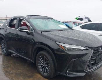 LEXUS NX 350 2023 2.4 - 3