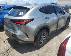 LEXUS NX 350 2023 2.4 - 6