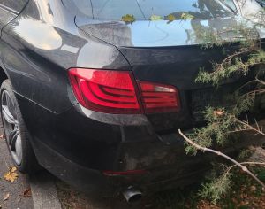 BMW 535 2012 3.5 - 4