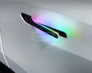 TESLA Model Y 2000-2025 - 2
