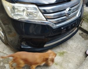 NISSAN Serena 2001-2016