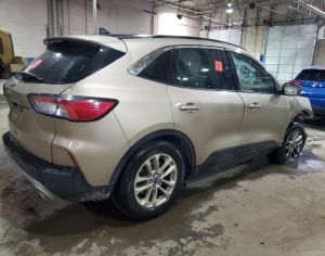 FORD Escape 2020 1.5 - 3