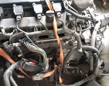 FORD Focus 2014-2016 - 2