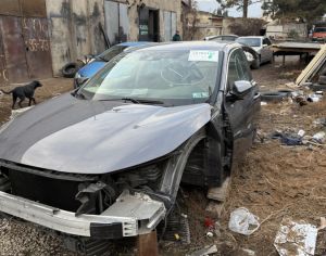 HONDA Insight 2018-2024 - 2