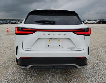 LEXUS NX 350 2023-2026 - 7
