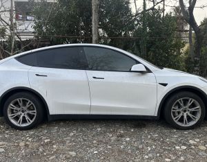 TESLA Model Y 2022 0.1 - 1