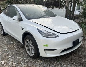 TESLA Model Y 2022 0.1 - 2