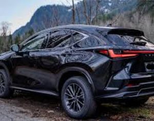 LEXUS NX 300 2015-2025 - 2