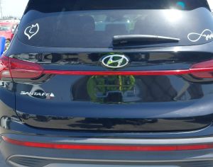 HYUNDAI Santa FE 2020 2.4 - 10