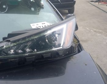 HYUNDAI Elantra 2018-2020