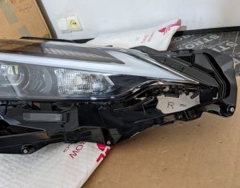 LEXUS NX 350 2022-2024 - 2