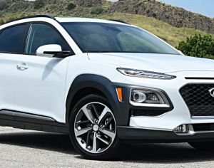 HYUNDAI kona 2018 2.0 - 1
