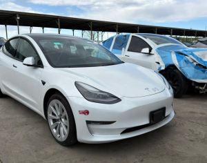 TESLA Model 3 2021 0.3 - 1