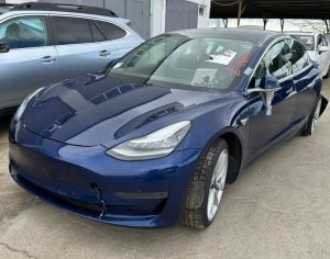 TESLA Model 3 2021 0.3 - 2