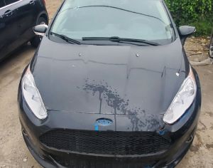FORD Fiesta 2013 1.6 - 9