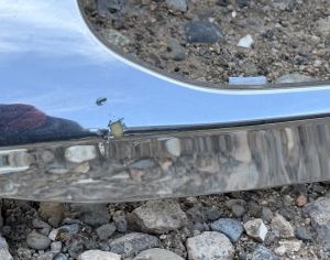 MERCEDES-BENZ GLE 350 2019-2023 - 5