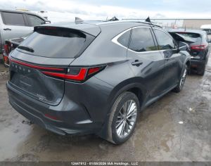 LEXUS NX 350 2023 2.5