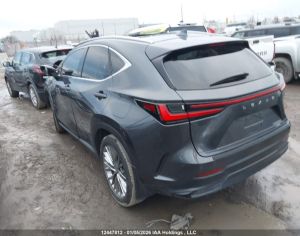 LEXUS NX 350 2023 2.5 - 3