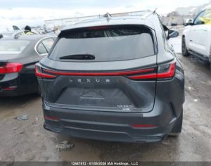 LEXUS NX 350 2023 2.5 - 4