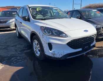 FORD Escape 2020 1.5