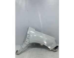 RENAULT Duster 2017-2021