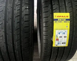 R21  265/45 ყველა სეზონი