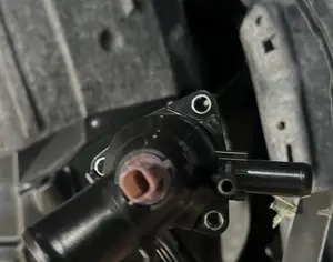 TOYOTA Tacoma 2019-2024 - 2