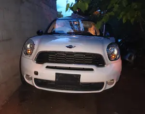 MINI Paceman 2010-2016 - 1