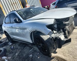 ALFA ROMEO Stelvio 2019 2.0